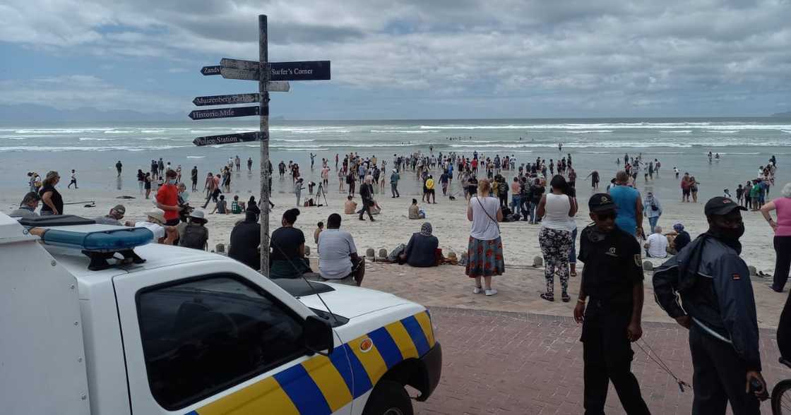 Cape Town residents rebel against lockdown and swarm Muizenberg beach Cape Town residents rebel against lockdown and swarm Muizenberg beach