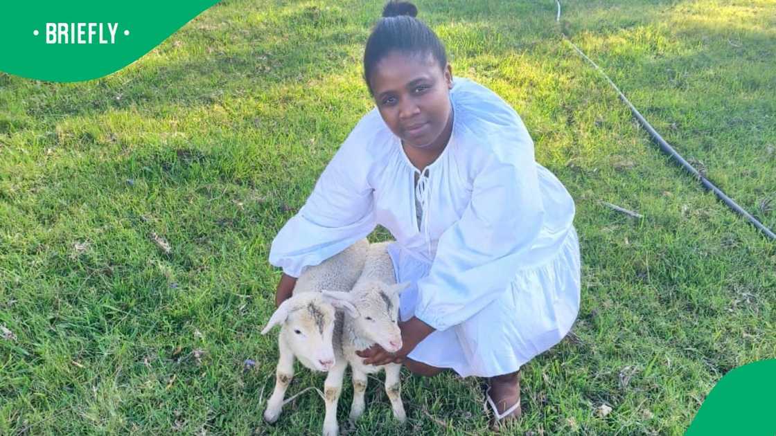 A lady named Qawekazi shares she saw significant improvements in how she handled some things in her business after a few lectures in her course A lady named Qawekazi shares she saw significant improvements in how she handled some things in her business after a few lectures in her course