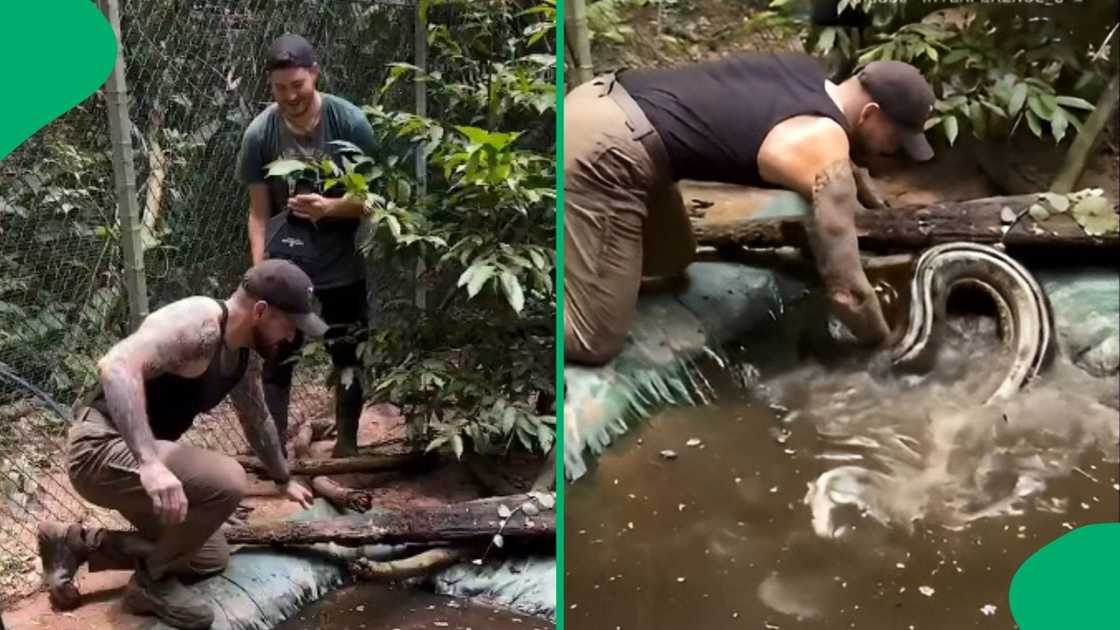 Man catches anaconda underwater