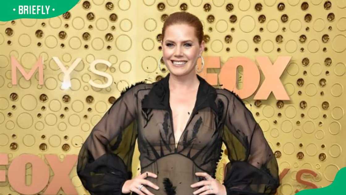 Amy Adams attends the 71st Emmy Awards at Microsoft Theater Amy Adams attends the 71st Emmy Awards at Microsoft Theater