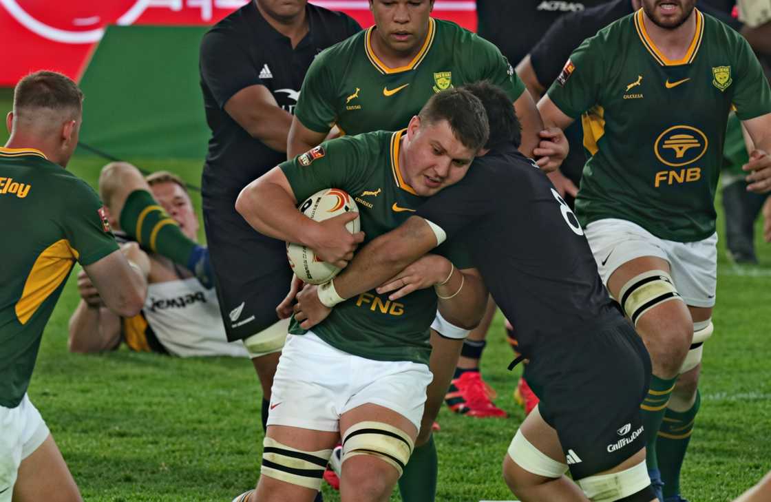 Ardie Savea, All Blacks, Springboks.