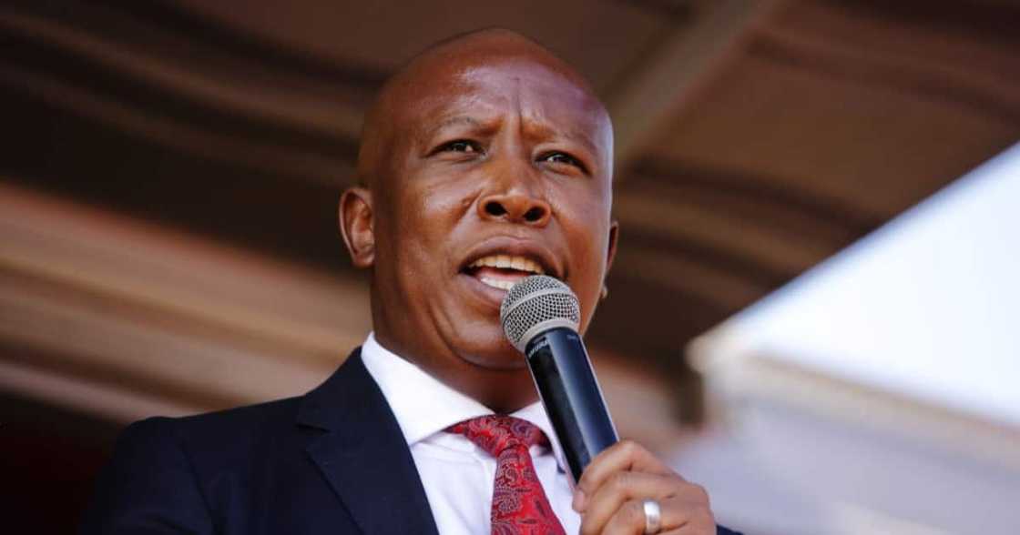 Juju, Julius Malema, Homage, Tsepo Tshola, Jazz maestro, South Africans, EFF, Economic Freedom Fighters Juju, Julius Malema, Homage, Tsepo Tshola, Jazz maestro, South Africans, EFF, Economic Freedom Fighters