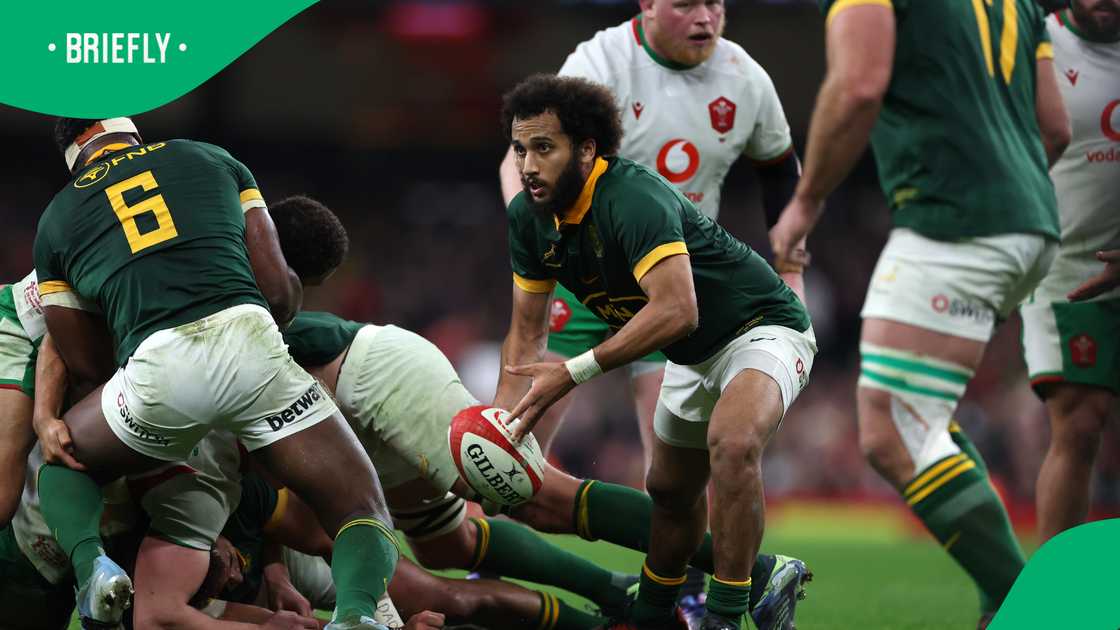 South Africa’s Hendrikse drives play at Principality Stadium, Autumn Nations Series 2024 South Africa’s Hendrikse drives play at Principality Stadium, Autumn Nations Series 2024