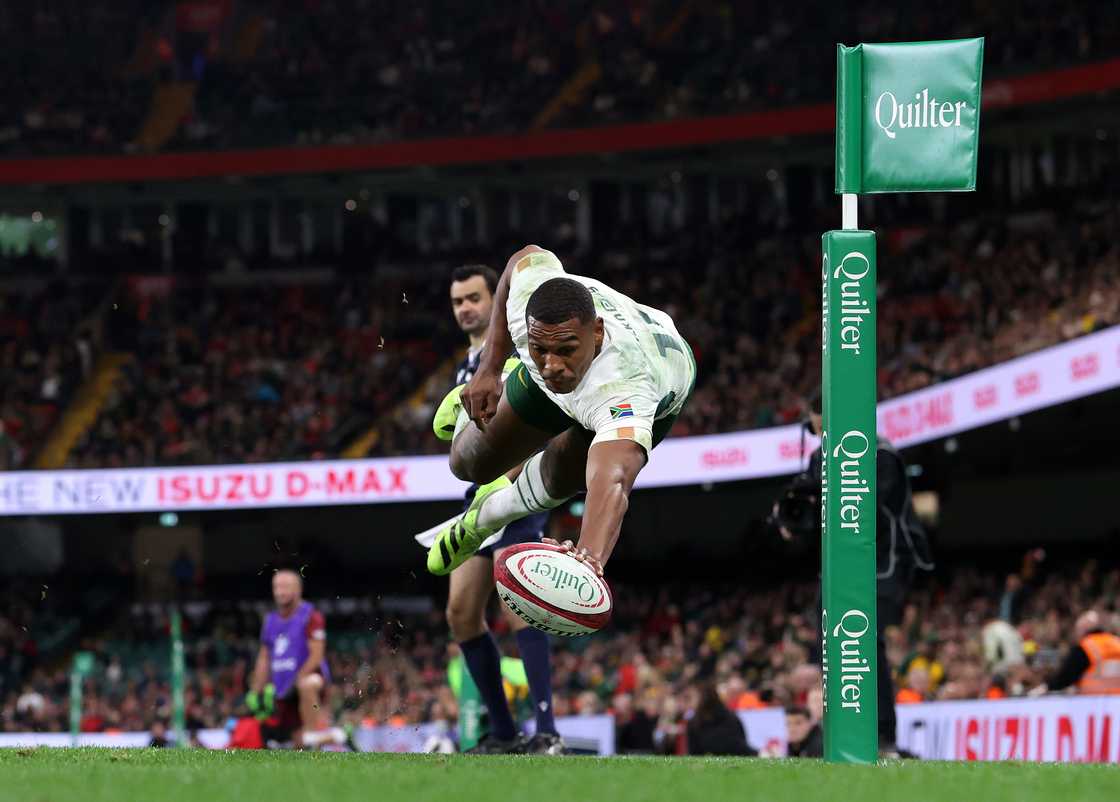 Springboks, Damian Willemse, South Africa