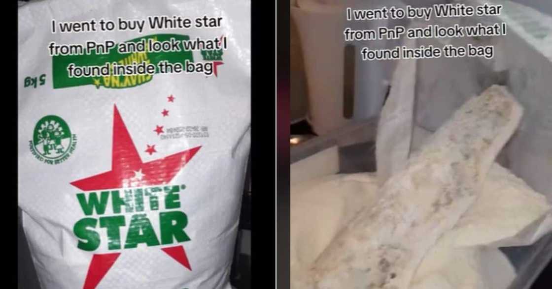 TikTok of mould in White Star by Pioneer Foods TikTok of mould in White Star by Pioneer Foods