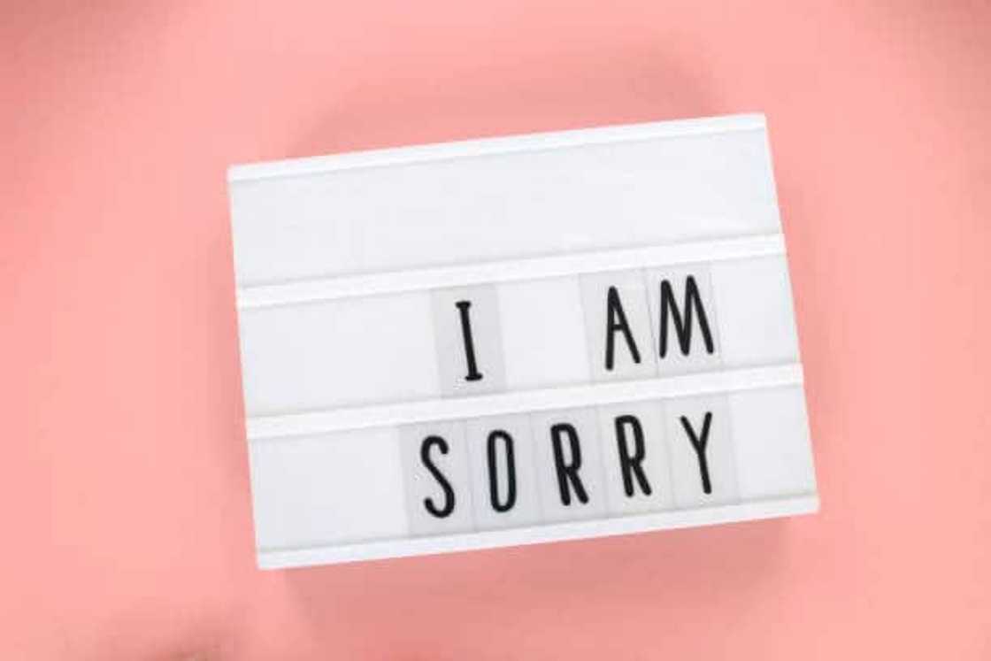 How do you apologize for deeply hurting someone? How do you apologize for deeply hurting someone?