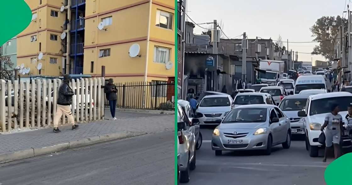 Chaotic traffic in Alex Chaotic traffic in Alex