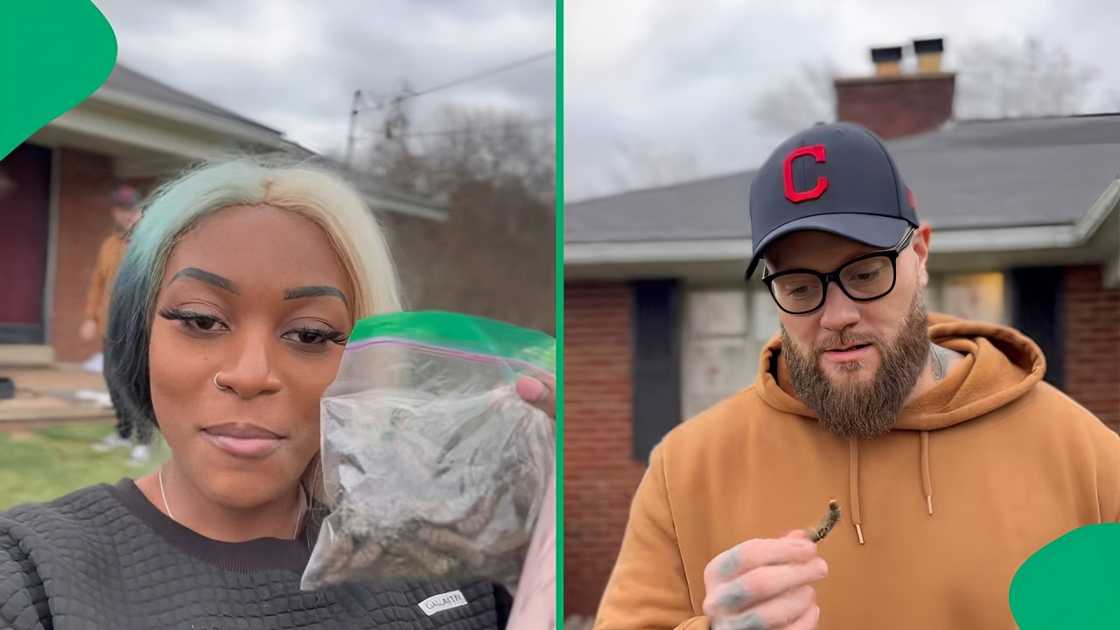 Sako gave Dalton a mopane worms taste test on TikTok Sako gave Dalton a mopane worms taste test on TikTok