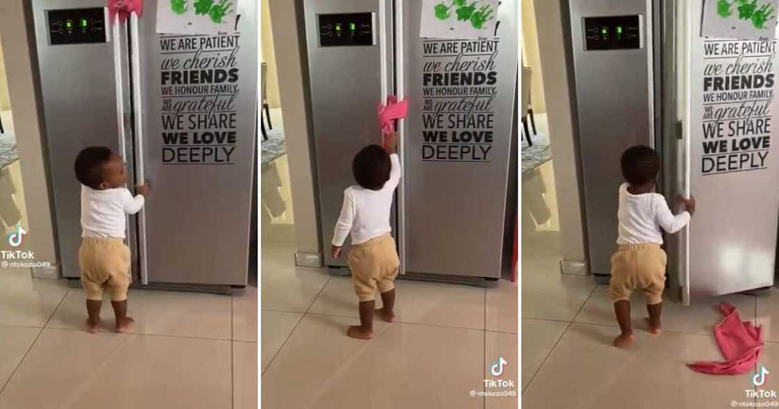 boy figuring out how to open the fridge