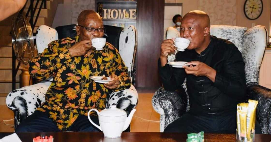Jacob Zuma Gives Malema His Terms to Appear at Zondo Commission Jacob Zuma Gives Malema His Terms to Appear at Zondo Commission