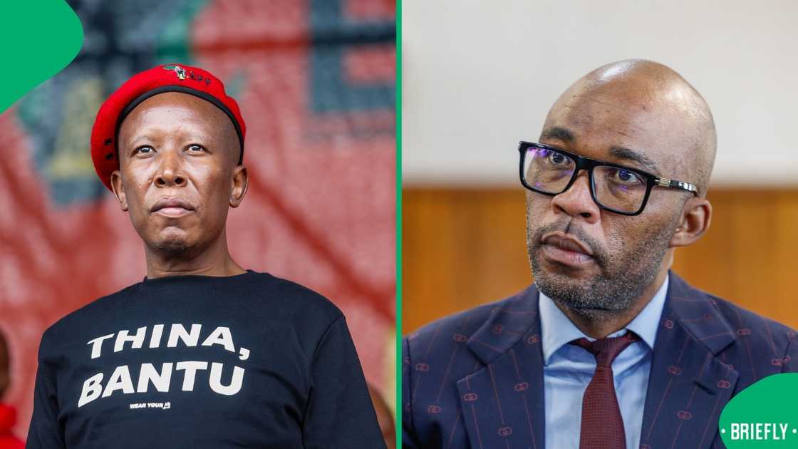 Julius Malema denies knowing Vusimuzi 'Cat' Matlala Julius Malema denies knowing Vusimuzi 'Cat' Matlala