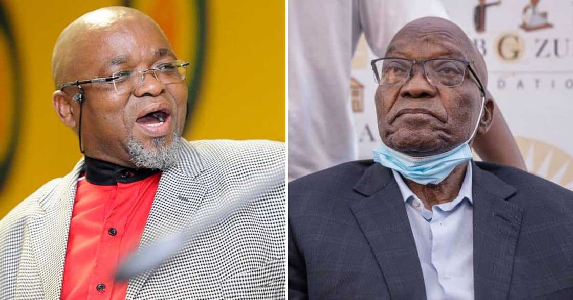 Gwede Mantashe ridicules Jacob Zuma's political plans Gwede Mantashe ridicules Jacob Zuma's political plans