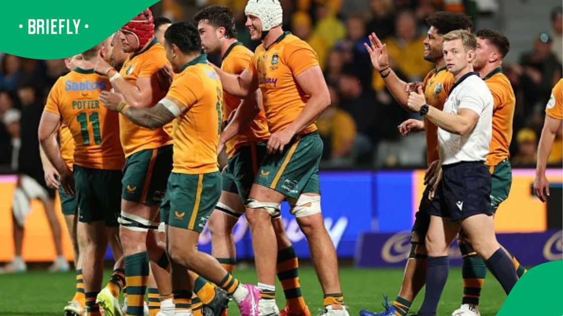 Wallabies