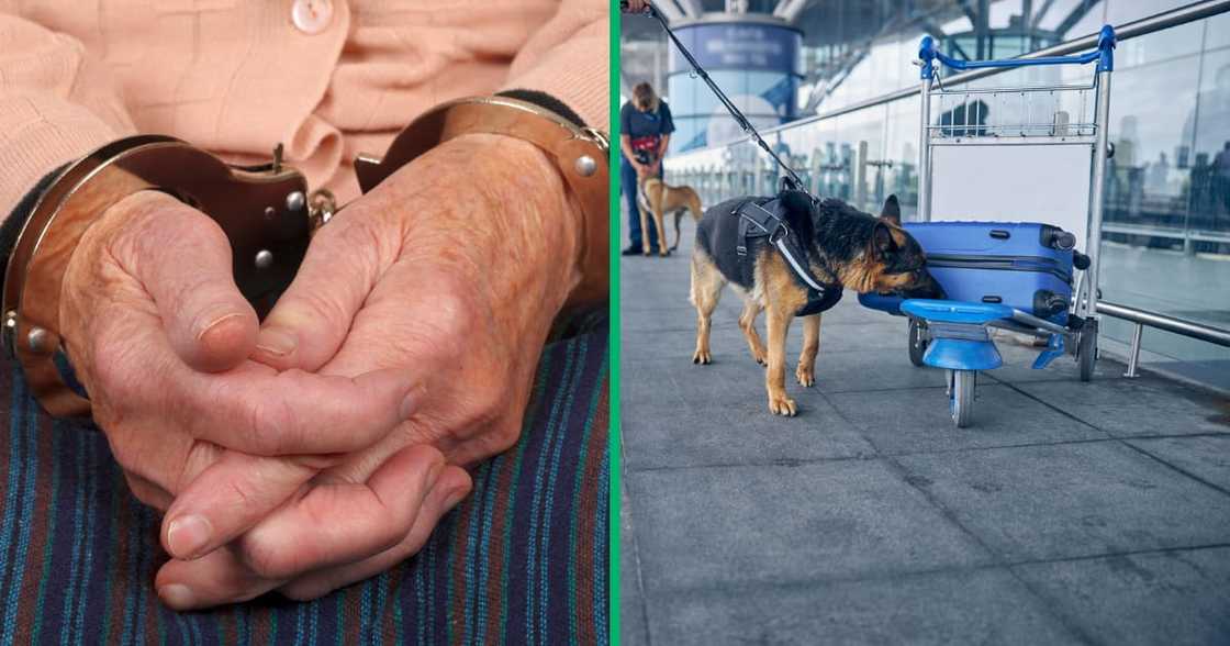 The Hawks arrested a 63-year-old woman for trying to smuggle drugs to Europe through the Cape Town International Airport The Hawks arrested a 63-year-old woman for trying to smuggle drugs to Europe through the Cape Town International Airport