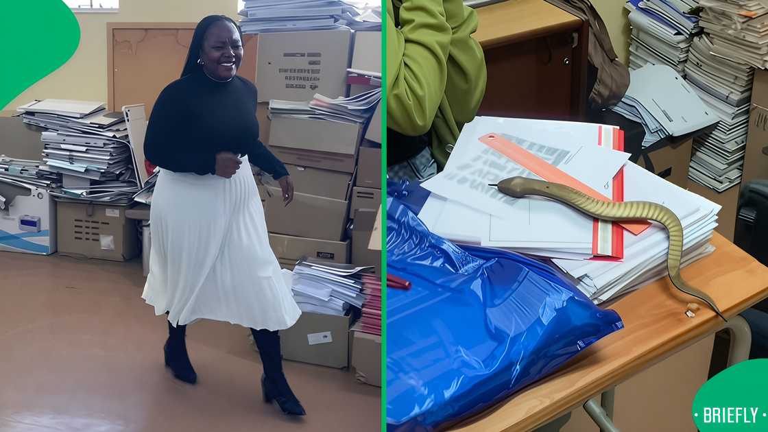 A group of teachers in South Africa's reactions to a snake prank amused online users.