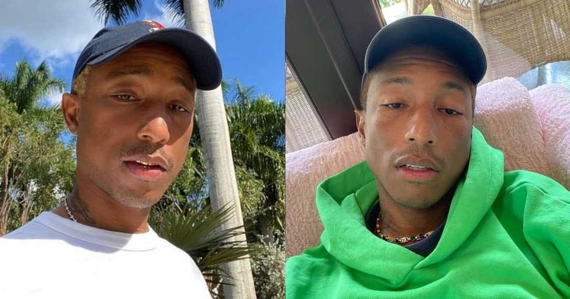 Pharrell Williams Launches Xhosa Sneaker Which Is Not Available for Sale in Sa Pharrell Williams Launches Xhosa Sneaker Which Is Not Available for Sale in Sa