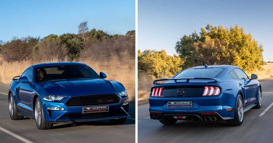 Ford Mustang , muscle car, sports car, north america Ford Mustang , muscle car, sports car, north america
