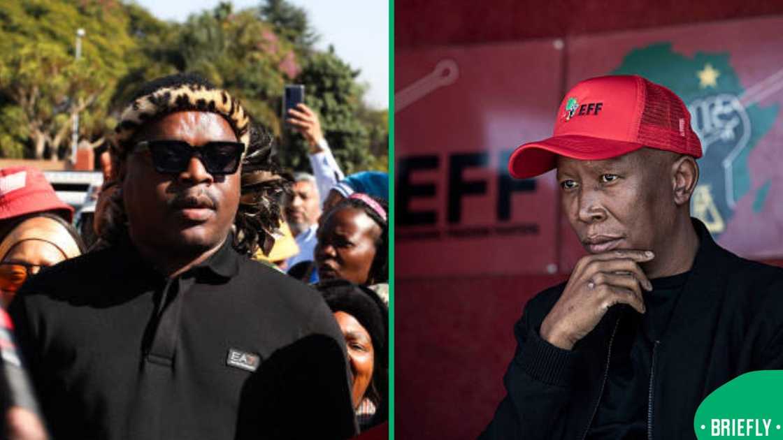 Mchunu and Malema Mchunu and Malema