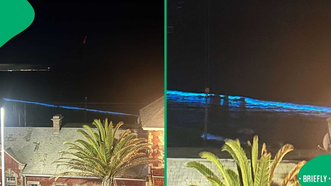 Cape Town beach glowed at night as bioluminescence drew a huge crowd, leaving South African viewers in awe of the sea. Cape Town beach glowed at night as bioluminescence drew a huge crowd, leaving South African viewers in awe of the sea.