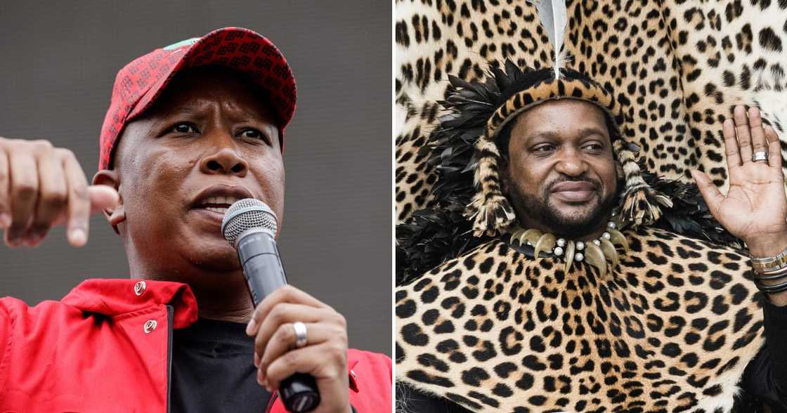 EFF leader Julius Malema attended King Misuzulu's ceremony EFF leader Julius Malema attended King Misuzulu's ceremony