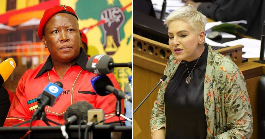 Julius Malema_Natasha Mazzone