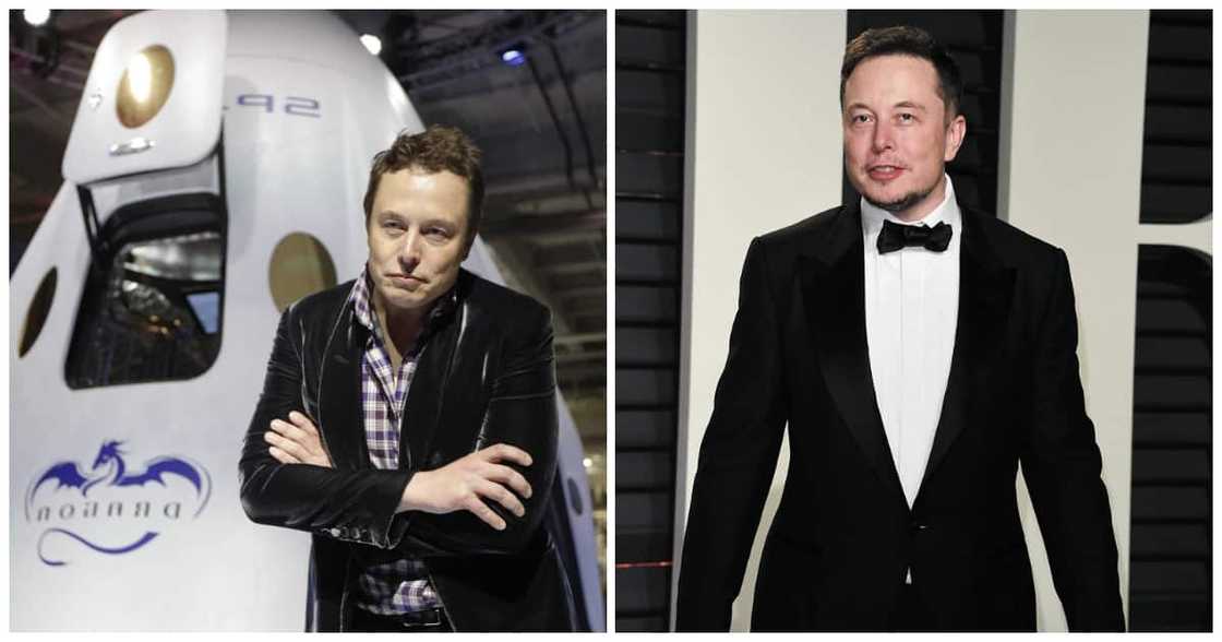 elon musk, twitter, tesla, father, kids