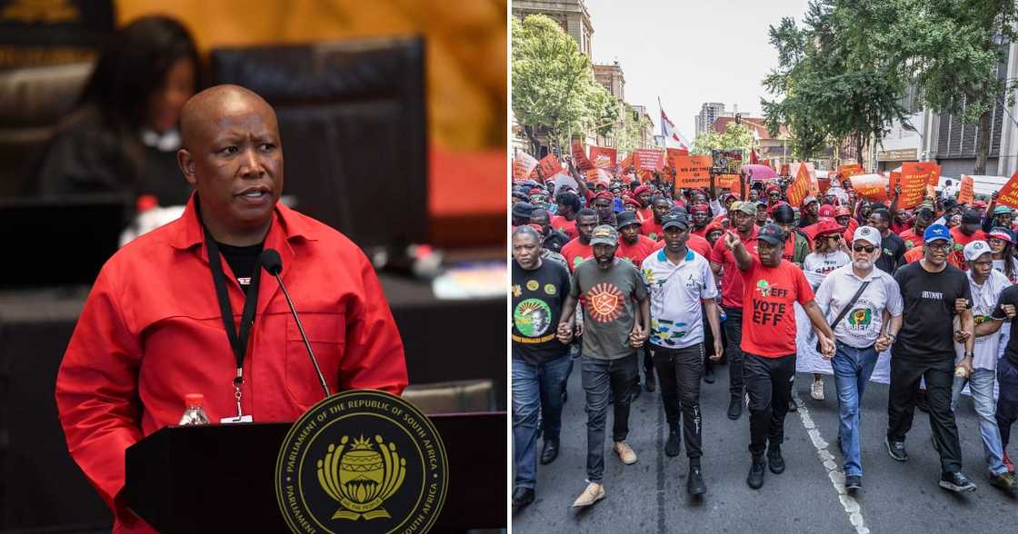 EFF leader Julius Malema claims victory over the government EFF leader Julius Malema claims victory over the government