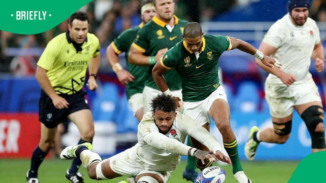 Courtney Lawes, England, Springboks, South Africa Courtney Lawes, England, Springboks, South Africa