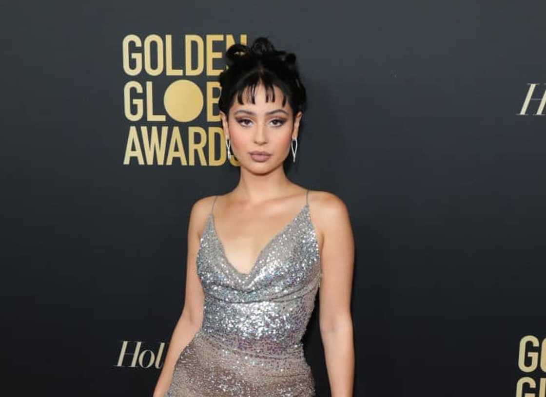 Alexa Demie at the HFPA and THR Golden Globe Ambassador party Alexa Demie at the HFPA and THR Golden Globe Ambassador party