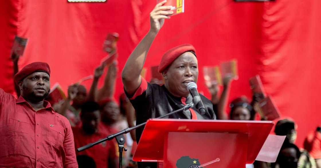 EFF, Julius Malema, Local government elections, EFF manifesto, affordable housing Sandton, Johannesburg metro