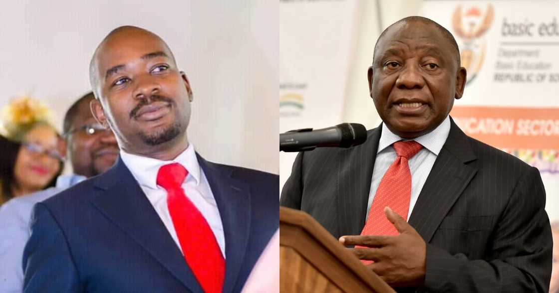 MDC, Zimbabwe, ANC, Cyril Ramaphosa, Nelson Chamisa