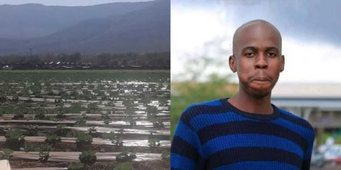 farming, land expropriation, ndi_myvenda farming, land expropriation, ndi_myvenda