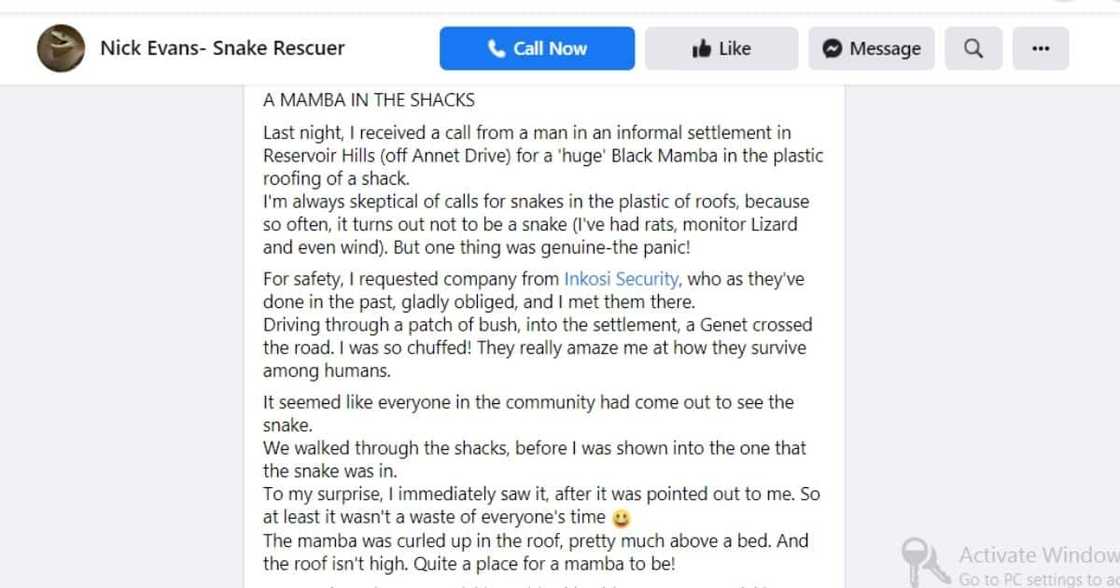 Snake catcher Nick Evans has rescued an uninvited guest in a shack roof. Image: Facebook Snake catcher Nick Evans has rescued an uninvited guest in a shack roof. Image: Facebook