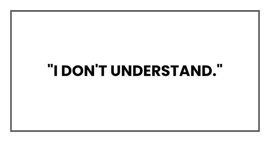 "I don't understand."