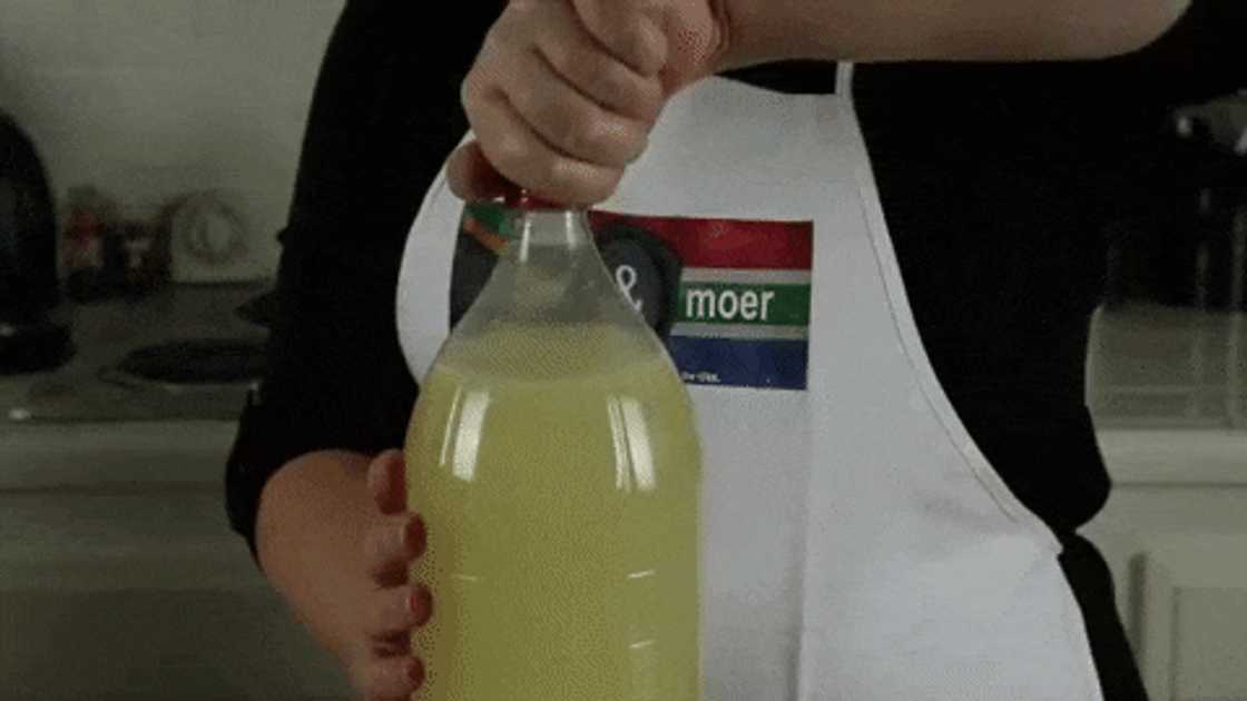 Homemade ginger beer recipe Homemade ginger beer recipe