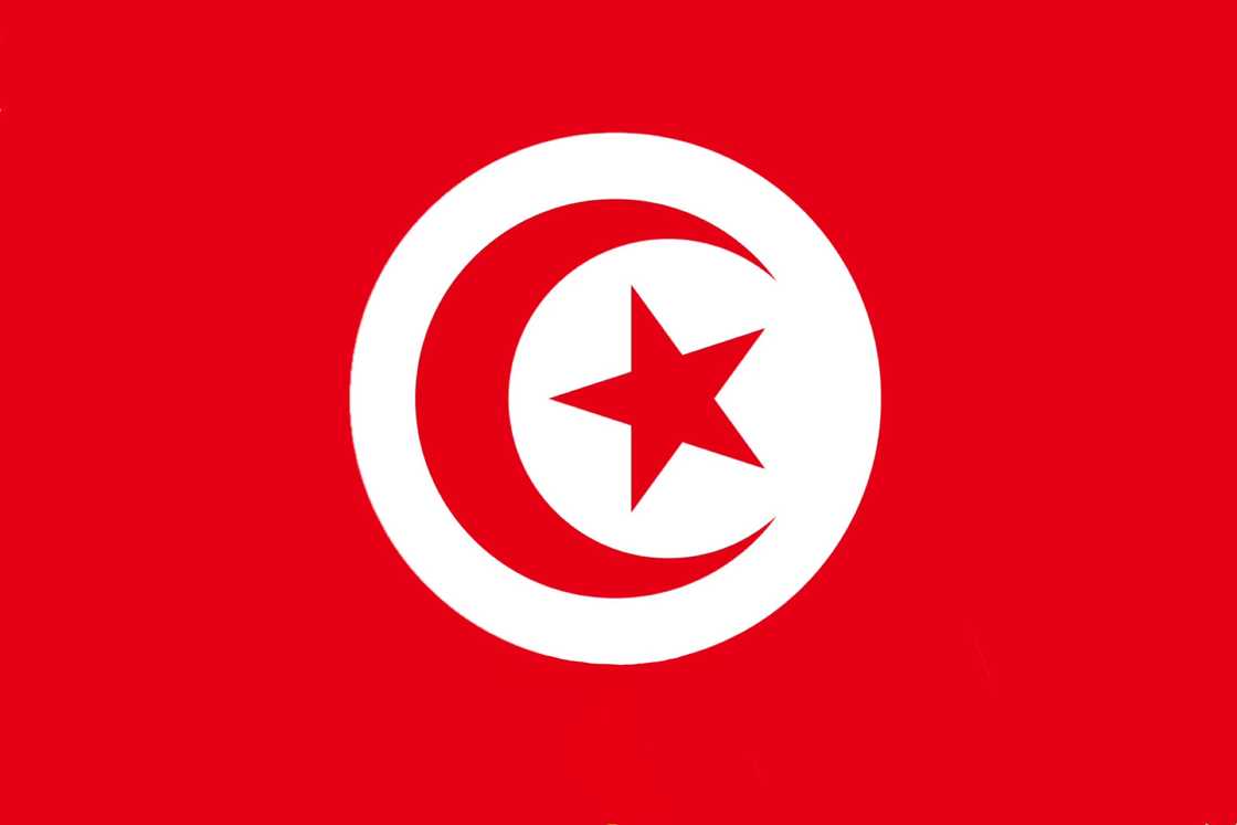 The flag of Tunisia