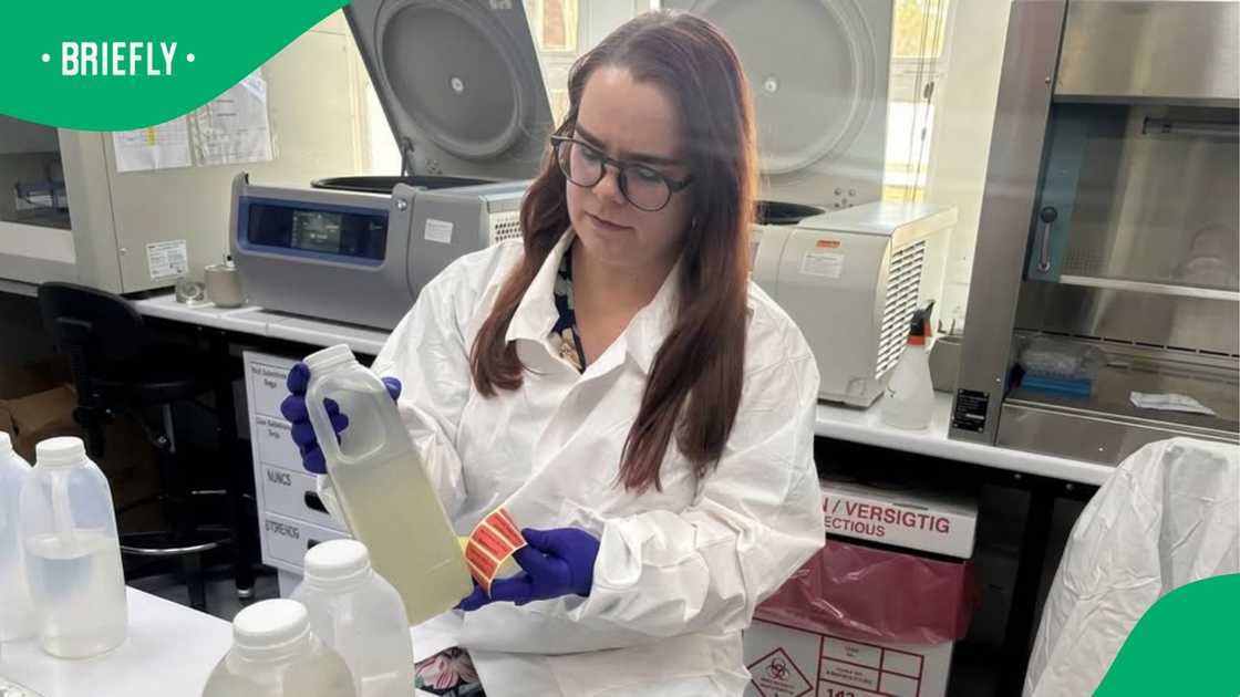 Wits researcher uses aircraft wastewater to detect disease outbreaks early