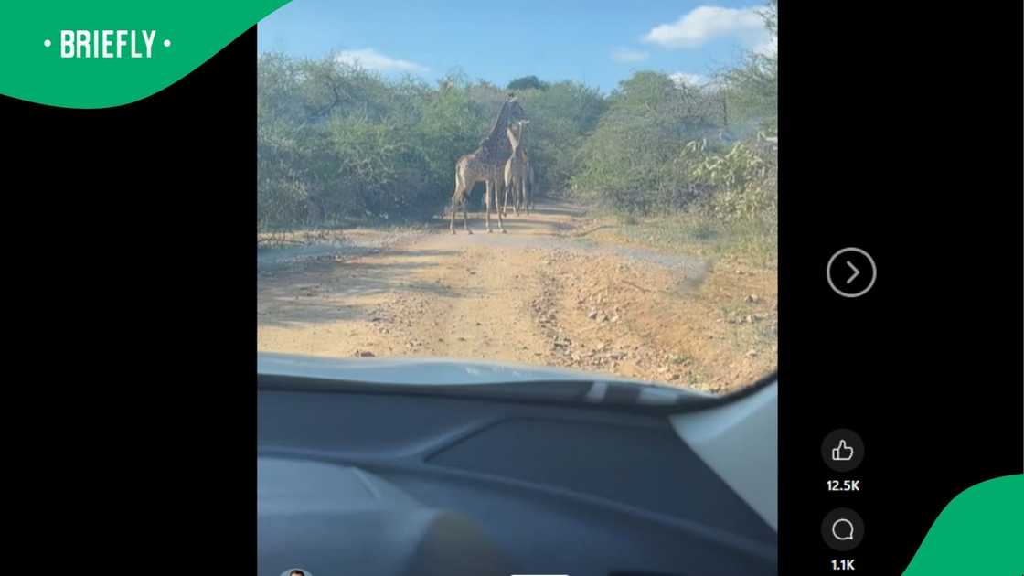 A post went viral. A post went viral.