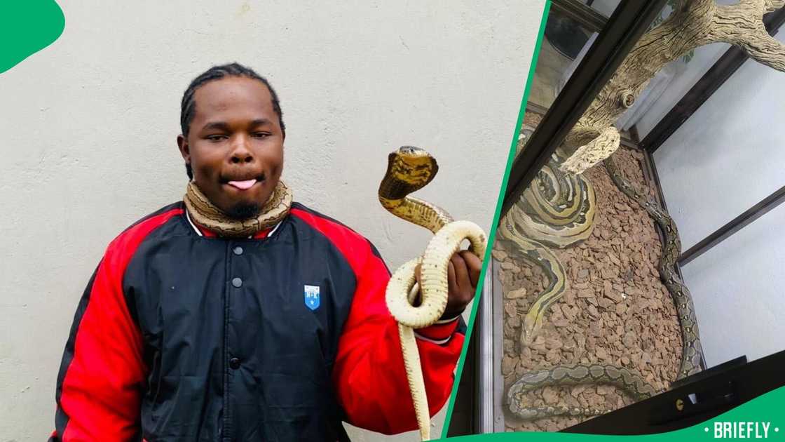 A man who works with snakes shares that he also owns a few of them.