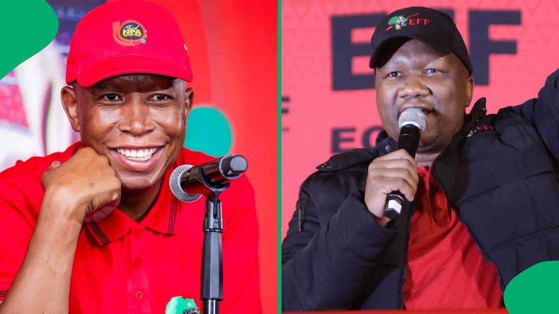 EFF president Julius Malema and secretary general Marshall Dlamini retained their positions