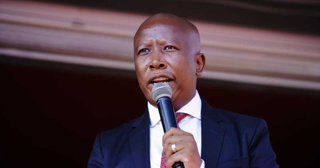 Covid-19: Malema warns government against risk of reopening schools