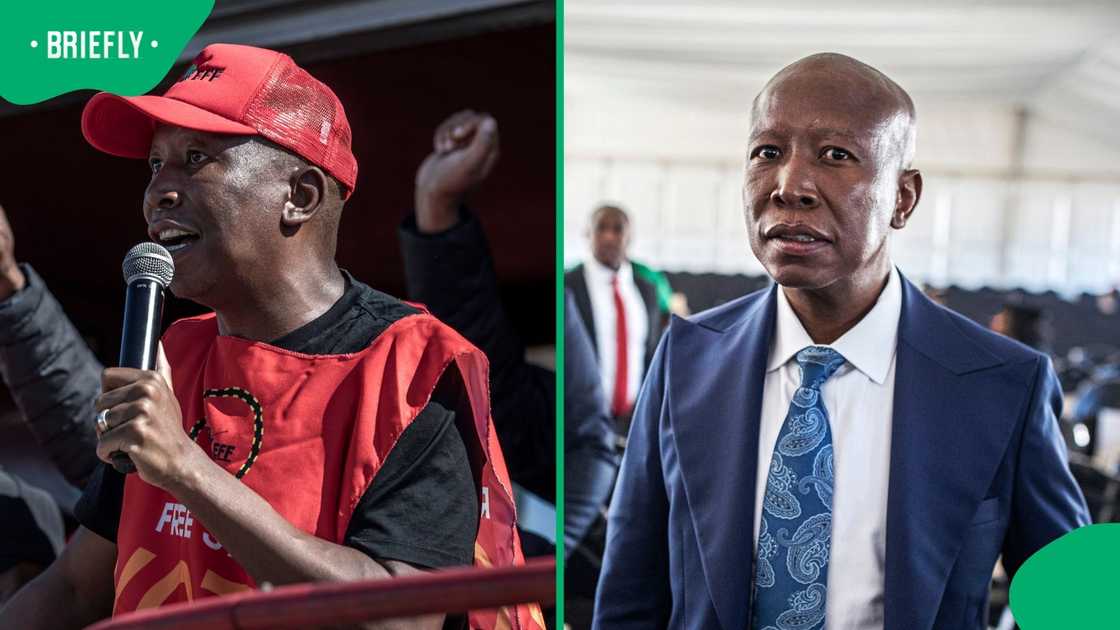 An EFF supporter said Julius Malema was not guilty
