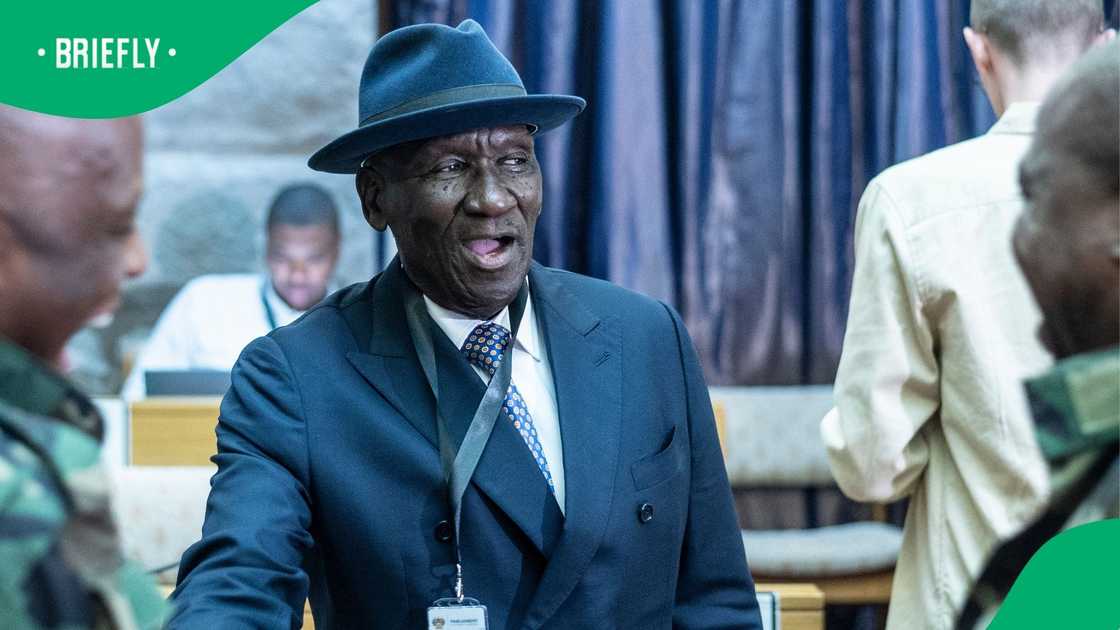 Bheki Cele, SAPS, South Africa, Ad Hoc Committee