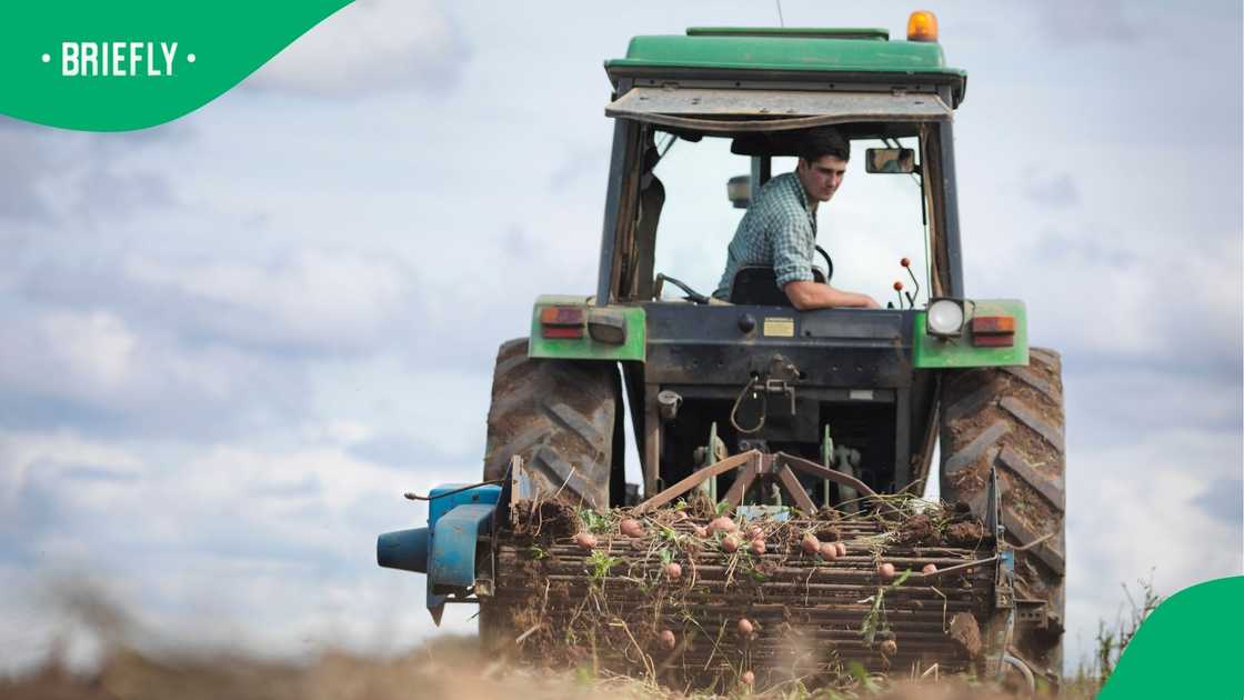 Ramsden moved to the US in 2021 to work at Nelson-King Farms Ramsden moved to the US in 2021 to work at Nelson-King Farms