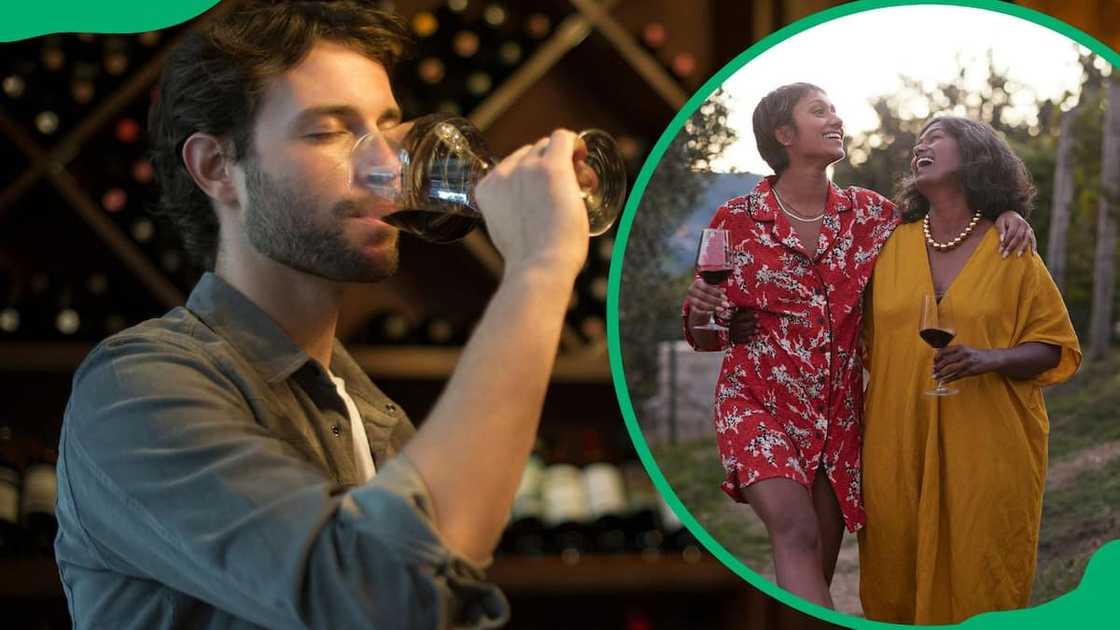 tasting room in Johannesburg tasting room in Johannesburg