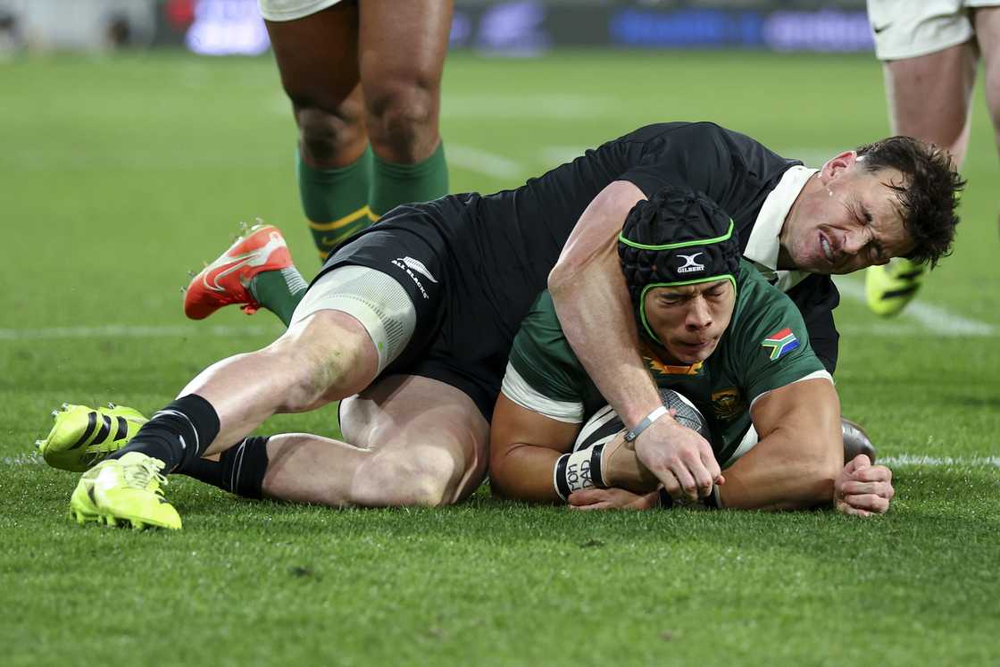 Cheslin Kolbe, Springboks, South Africa