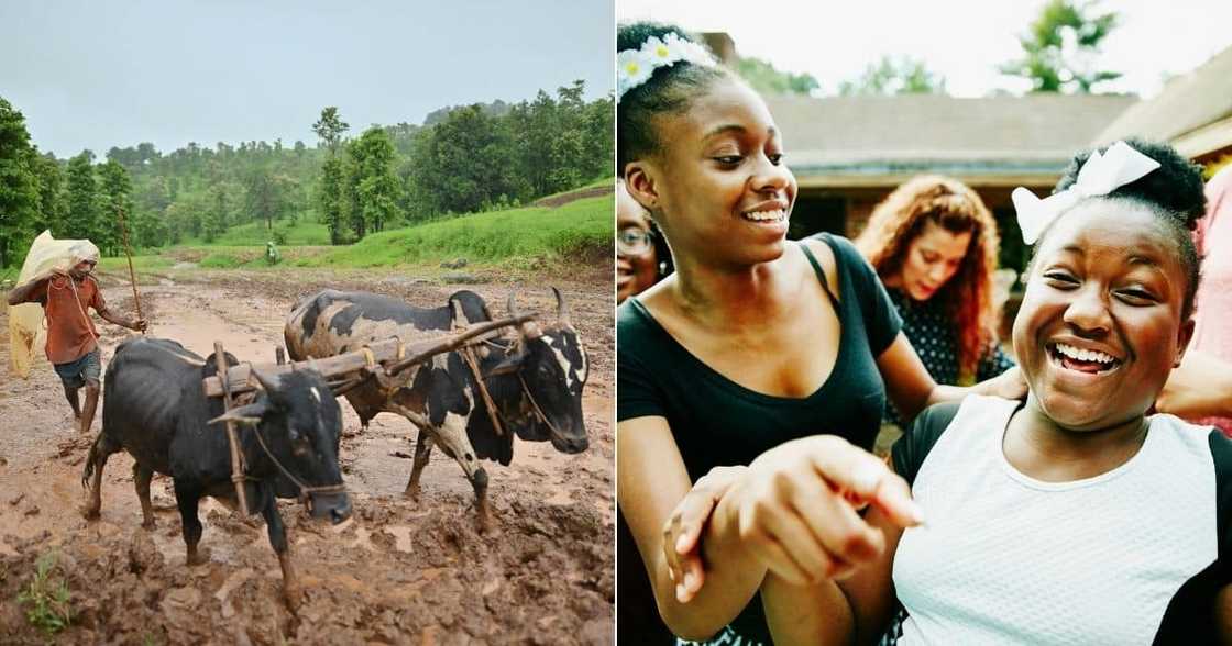 Women try using kettle to plough