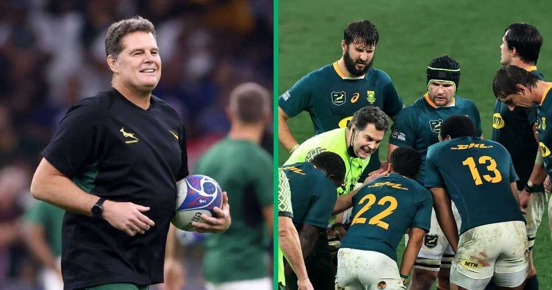 Rassie Erasmus on field with Springboks