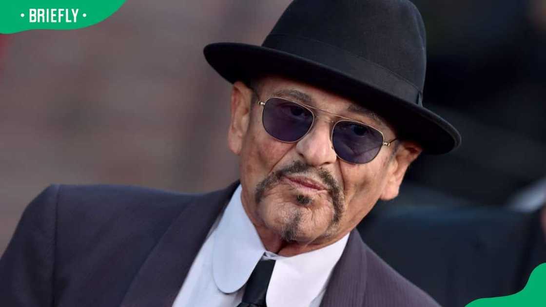 Joe Pesci attending the Premiere of Netflix's The Irishman