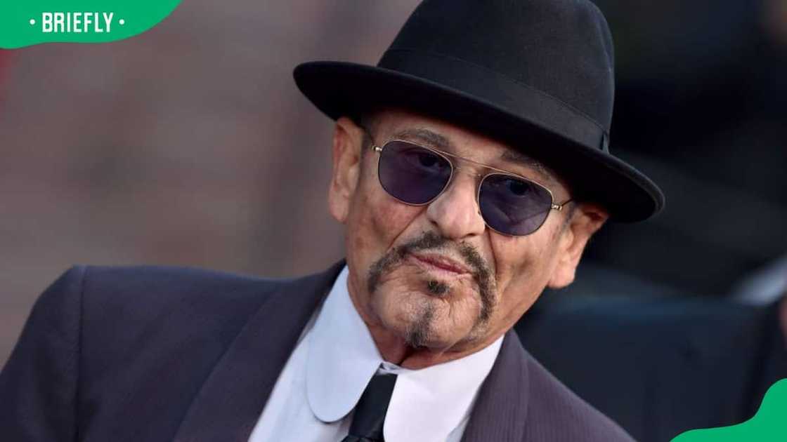Joe Pesci attending the Premiere of Netflix's The Irishman Joe Pesci attending the Premiere of Netflix's The Irishman